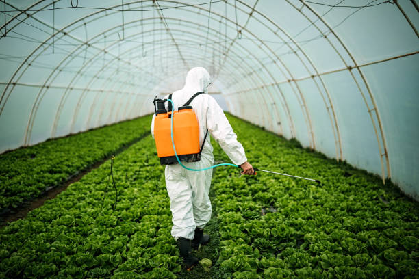 Best Affordable Pest Control Services  in Wesley Chapel, NC