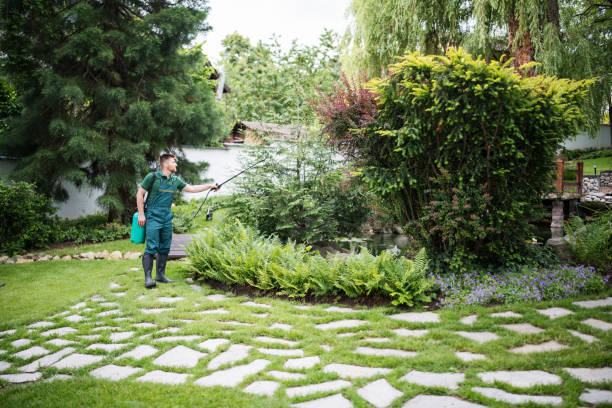 Best Pest Control Near Me  in Wesley Chapel, NC