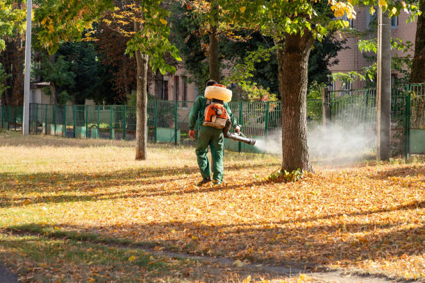 Best Best Pest Control Companies  in Wesley Chapel, NC